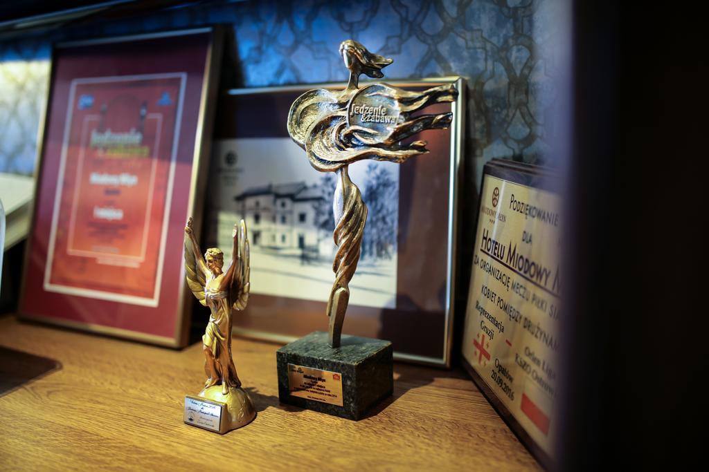 Hotel Miodowy Mlyn Opatów Kültér fotó